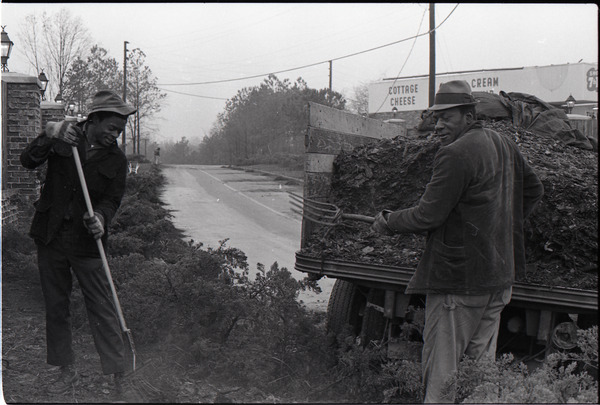 Two African American men with pitchforks, spreading mulch from the back of a truck, ca. December 13, 1972